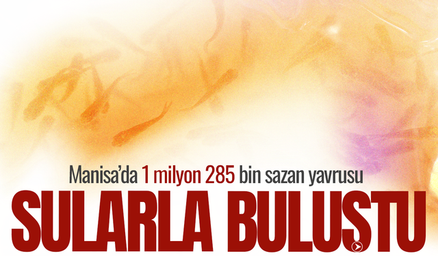 Gevenlik ve Tepegöl’e 20 bin sazan yavrusu bırakıldı