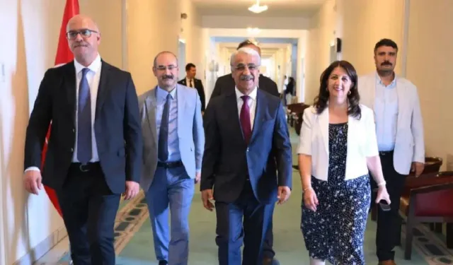 DEM Parti heyeti İmralı'ya gitti: Görüşme 3 saat sürdü