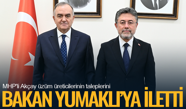 MHP'li Akçay'dan Bakan Yumaklı'ya üzüm dosyası: "Üretici korunmalı"