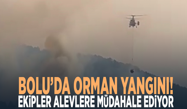 Bolu’da orman yangını! Ekipler alevlere müdahale ediyor
