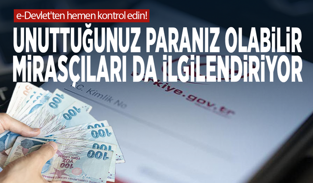 e-Devlet'ten hemen kontrol edin! Unuttuğunuz paranız olabilir: Mirasçıları da ilgilendiriyor