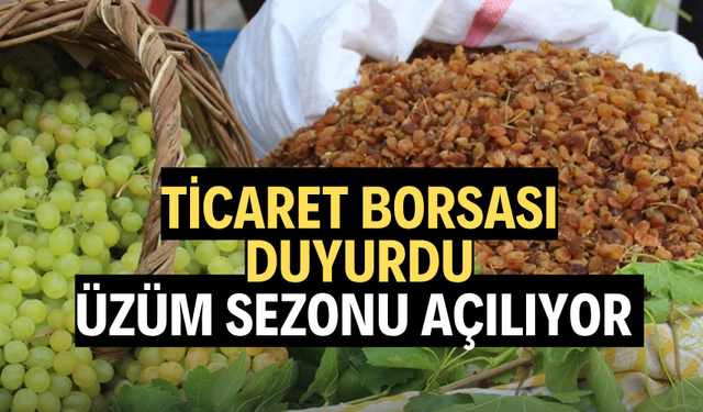 Ticaret Borsası duyurdu: Üzüm sezonu açılıyor