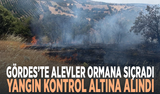 Gördes’te alevler ormana sıçradı... Yangın kontrol altına alındı
