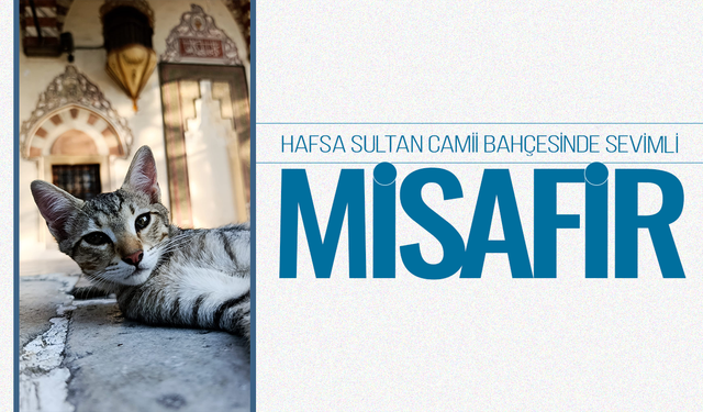 Hafsa Sultan Camii Bahçesinde Sevimli Misafir