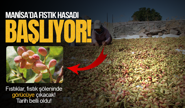 Yuntdağı Fıstığı Ezber Bozmaya Geliyor: Büyük Gün 6 Eylül