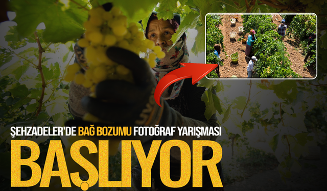 Şehzadeler'de bağ bozumu fotoğraf yarışması başlıyor