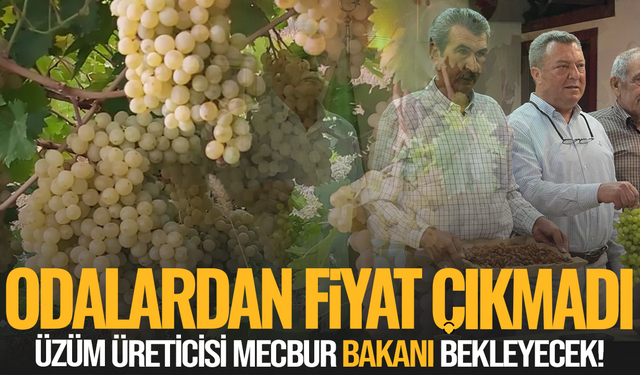 Üzümde fiyat sessizliği: Oda başkanları neden rakam vermedi?