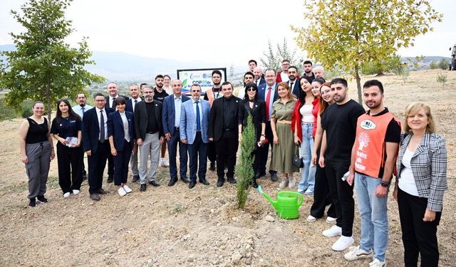 MCBÜ'den COP31 hamlesi