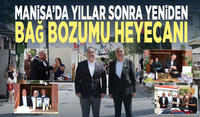 Manisa’da yıllar sonra yeniden bağ bozumu heyecanı
