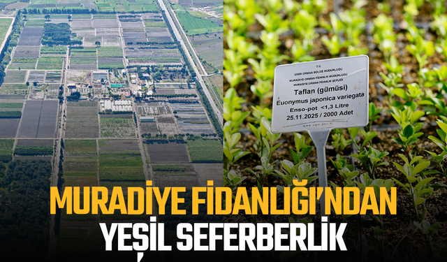 Muradiye Fidanlığı’ndan yeşil seferberlik