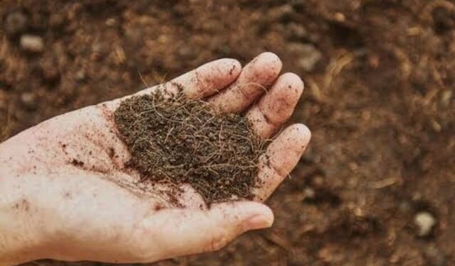 Üreticilere toprak analizinde indirime gidildi