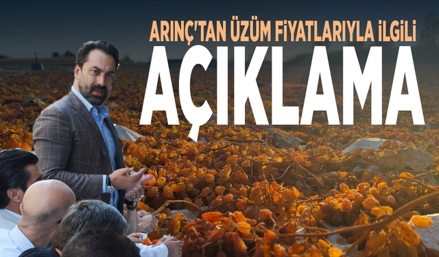 Arınç'tan üzüm fiyatlarıyla ilgili açıklama