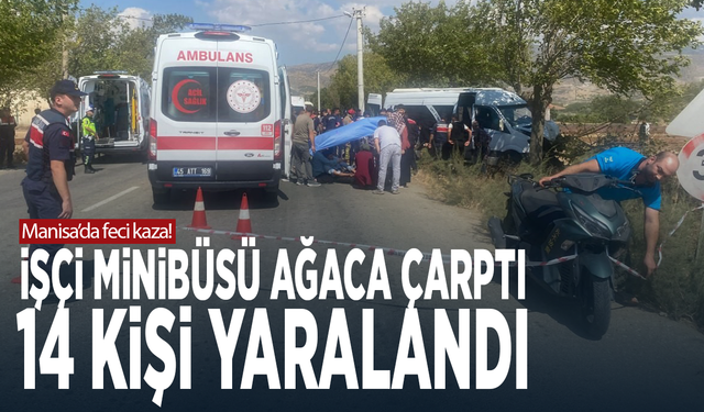 Manisa'da feci kaza! İşçi minibüsü ağaca çarptı: 14 kişi yaralandı