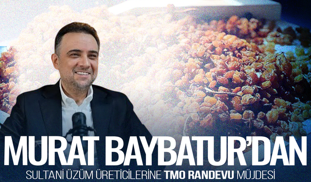 Baybatur’dan Sultani üzüm üreticilerine TMO randevu müjdesi