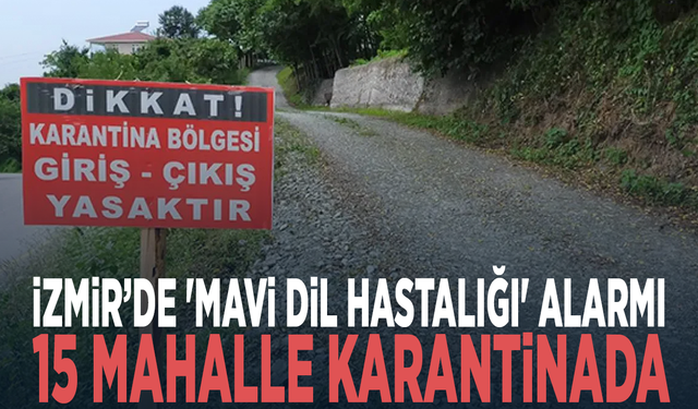İzmir’de 'mavi dil hastalığı' alarmı: 15 mahalle karantinada