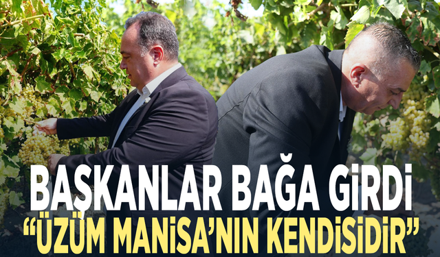 Başkanlar bağa girdi... “Üzüm Manisa’nın kendisidir”