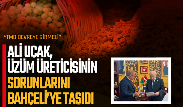 ALİ UÇAK, ÜZÜM ÜRETİCİSİNİN SORUNLARINI BAHÇELİ’YE TAŞIDI: “TMO DEVREYE GİRMELİ