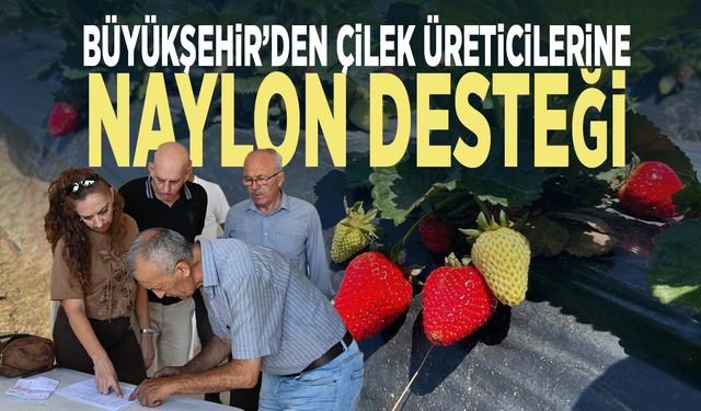 Büyükşehir’den çilek üreticilerine naylon desteği