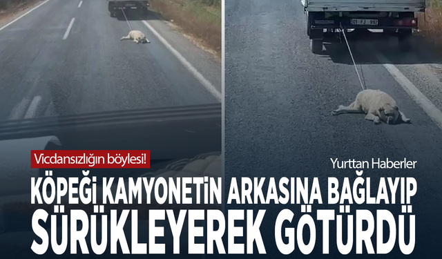 Vicdansızlığın böylesi! Köpeği kamyonetin arkasına bağlayıp sürükleyerek götürdü