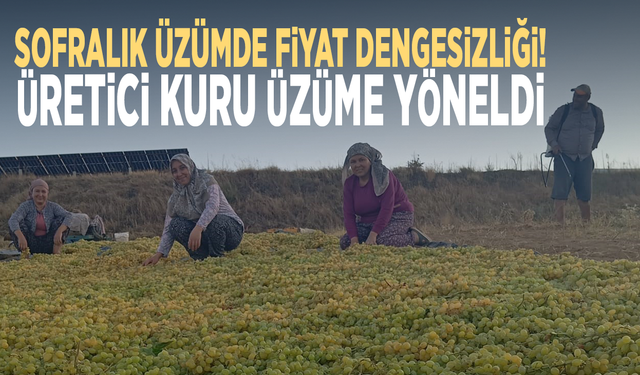 Sofralık üzümde fiyat dengesizliği! Üretici kuru üzüme yöneldi