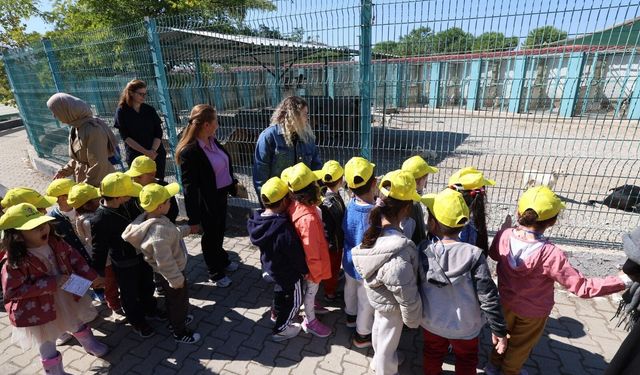 Minikler bakımevindeki hayvanlarla buluştu