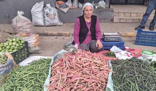 Alaşehir'de Cumhuriyet coşkusu sosyal medyaya taşındı
