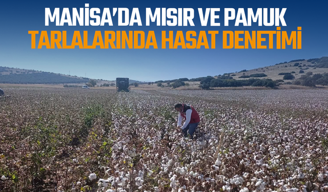 Manisa’da mısır ve pamuk tarlalarında hasat denetimi