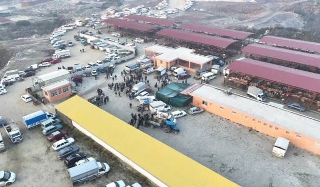 Manisa’da Hayvan Pazarları Geçici Süreliğine Kapatıldı