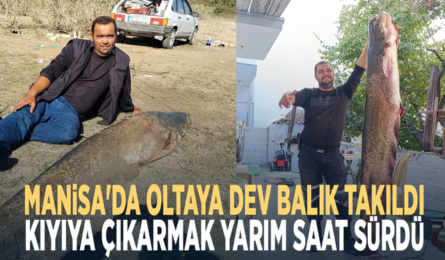 Manisa'da oltaya dev balık takıldı... Kıyıya çıkarmak yarım saat sürdü