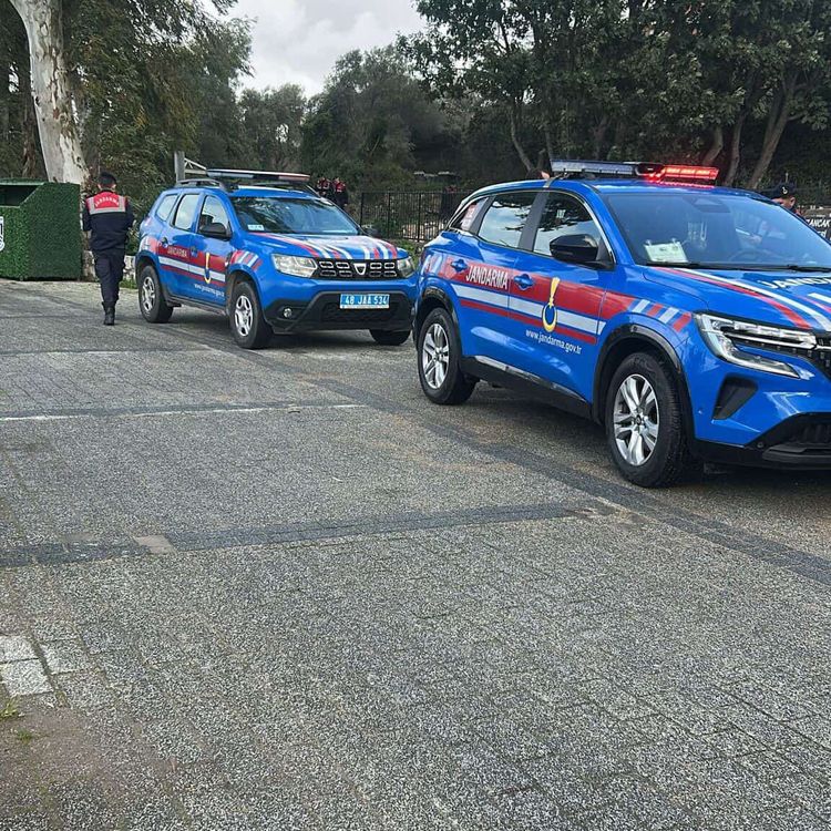 Bodrum'da iki köpeğin silahla vurulduğu iddiası