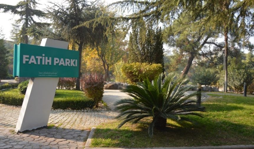 Tüm Türkiye geneli olduğu gibi Manisa’da sokağa çıkma kısıtlaması sonrası sokaklar, caddeler bomboş kaldı. Vatandaşların yoğun olarak bulunduğu Mustafa Kemal Paşa Bulvarı, Cumhuriyet Meydanı, 15 Temmuz Demokrasi Meydanı ve Sultan Camisi yol güzergahlarında park edilen araçlar dışında kimse yoktu. Caddelerde ve sokaklarda sadece ekipler ve sokağa çıkma yasağından muaf olanlar vardı. Saat 10.00 ila 17.00 saatleri arasında ise marketler, manavlar, bakkallar, fırınlar, kuruyemişçiler, paket servisi yapan yerler açık kaldı. Vatandaşlar saat 10’dan itibaren evlerine en yakın bakkal, fırına giderek alışveriş yapıp tekrar evine döndü. Boş sokakların tadını hayvanlar çıkardı. Hayvanlar sokakların keyfini çıkardı.