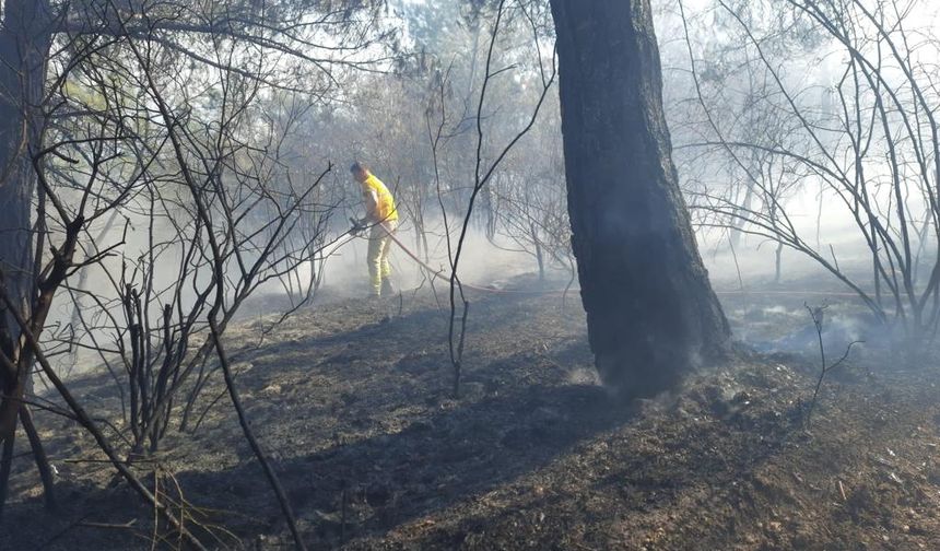 Soma’da orman yangını! Ekiplerden hayati müdahale