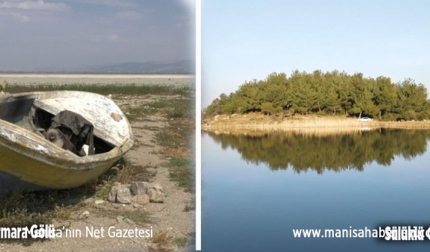 Marmara Gölü kurudu göçmen kuşlar rotayı Spil'deki Sülüklü Göle çevirdi