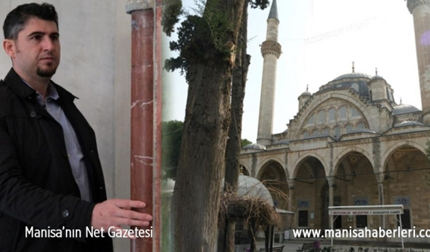 Mimar Sinan'ın deprem sırrı: "Bölgenin zemin ve depremsellik gerçeğine uygun yapılar"