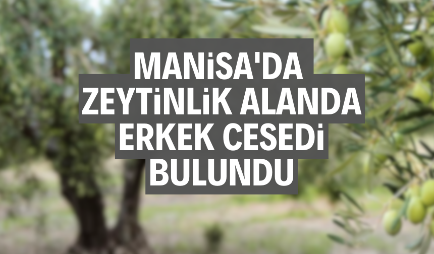 Manisa'da  zeytinlik alanda erkek cesedi bulundu.