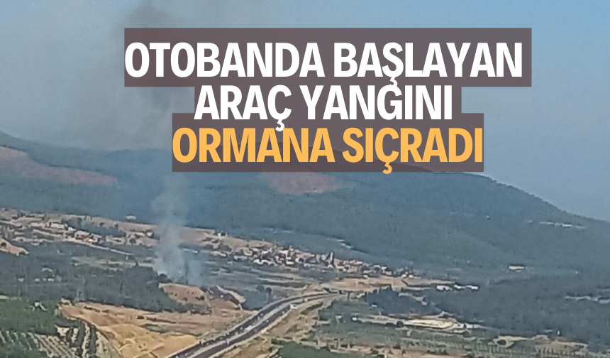 Otobandaki araç yangını ormana sıçradı