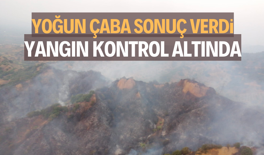 İLÇEDEKİ ORMAN YANGININDAN İYİ HABER