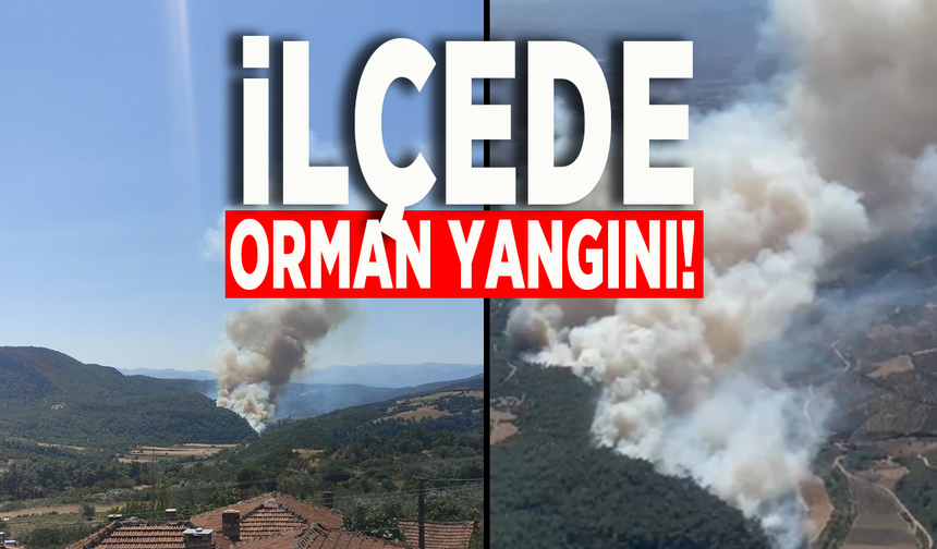 İlçede orman yangını! 