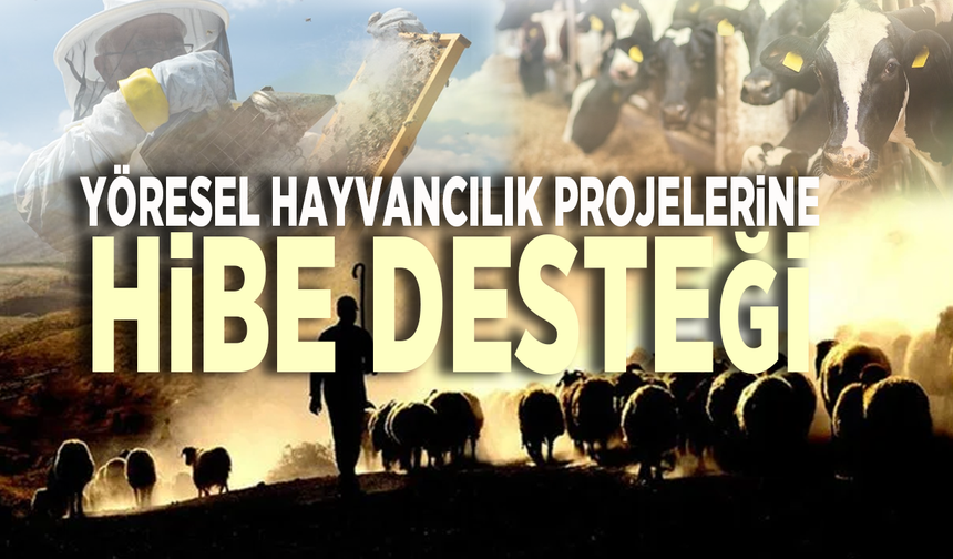 Bakanlıktan yöresel hayvancılık projelerine hibe desteği