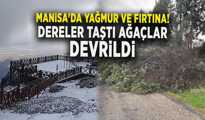 MANİSA'DA YAĞMUR VE FIRTINA! DERELER TAŞTI, AĞAÇLAR DEVRİLDİ