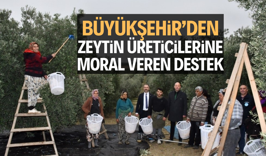 Büyükşehir’den zeytin üreticilerine moral veren destek