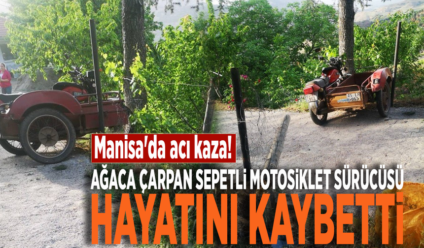 Manisa'da acı kaza! Ağaca çarpan motosiklet sürücüsü hayatını kaybetti
