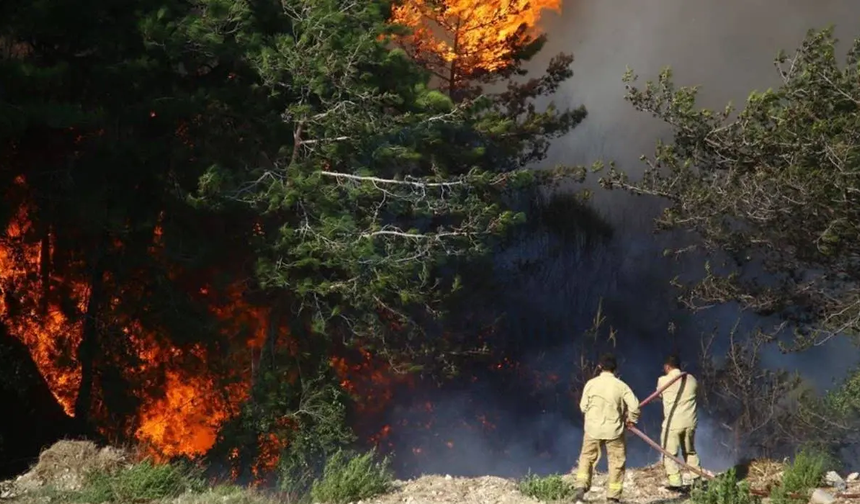 Antalya'da orman yangını! Müdahale devam ediyor