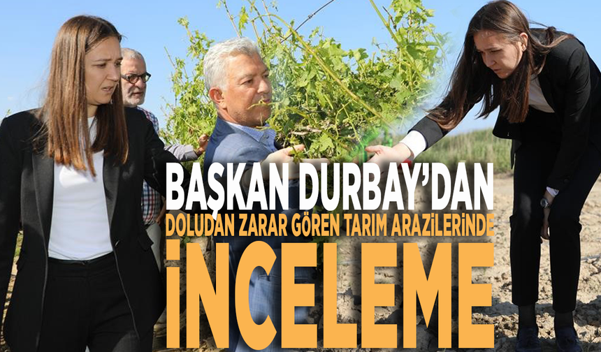 Başkan Durbay’dan doludan zarar gören tarım arazilerinde inceleme