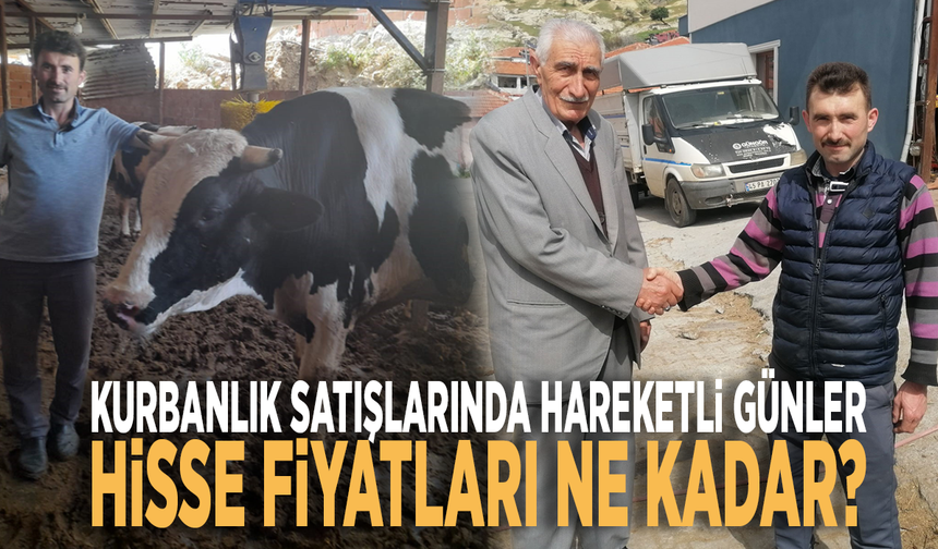 Kurbanlık satışlarında hareketli günler... Hisse fiyatları ne kadar?