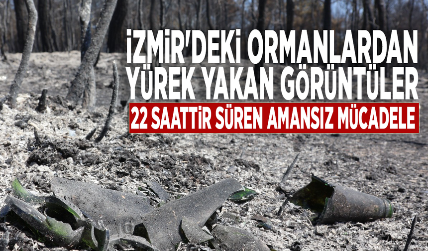 İzmir'deki ormanlardan yürek yakan görüntüler: 22 saattir süren amansız mücadele