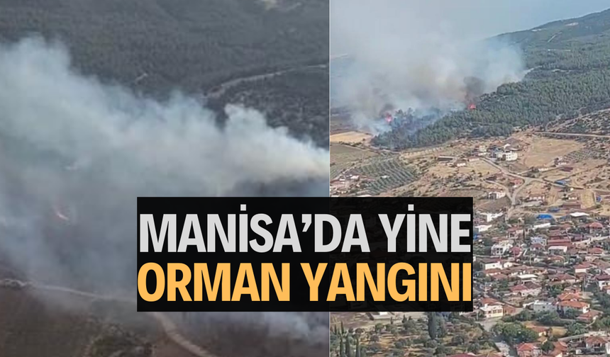 Manisa’da yine orman yangını