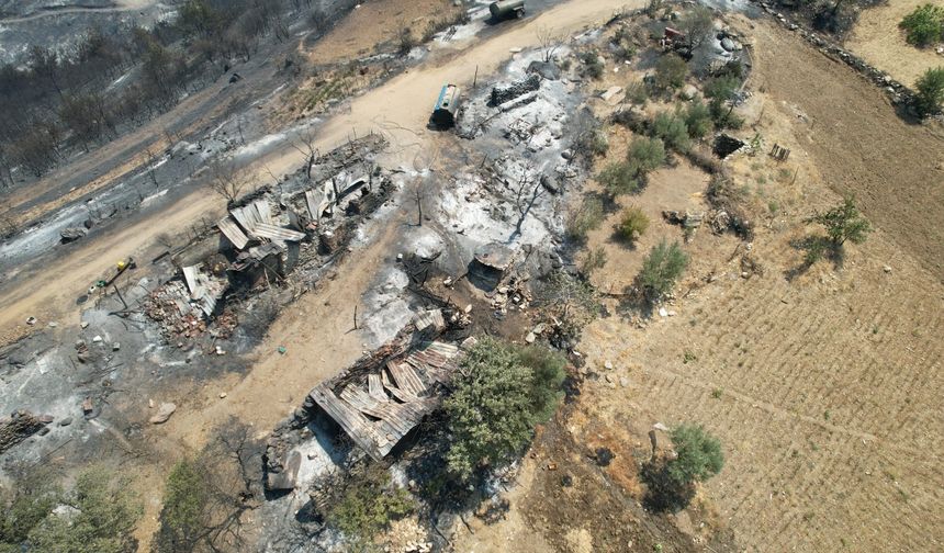 Manisa'daki orman yangını yürekleri yaktı: Acı dolu bir tablo