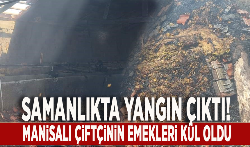 Samanlıkta yangın çıktı! Manisalı çiftçinin emekleri kül oldu