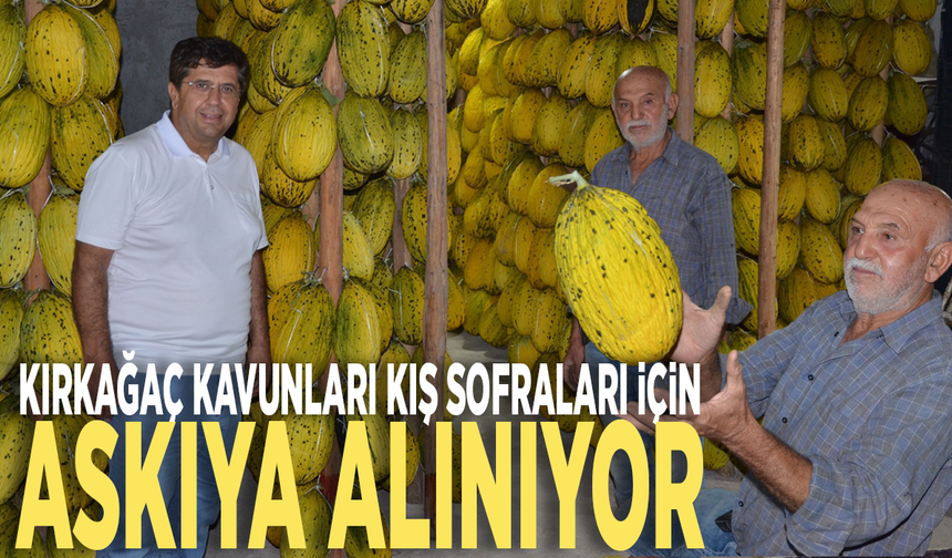 Kırkağaç kavunları kış sofraları için askıya alınıyor